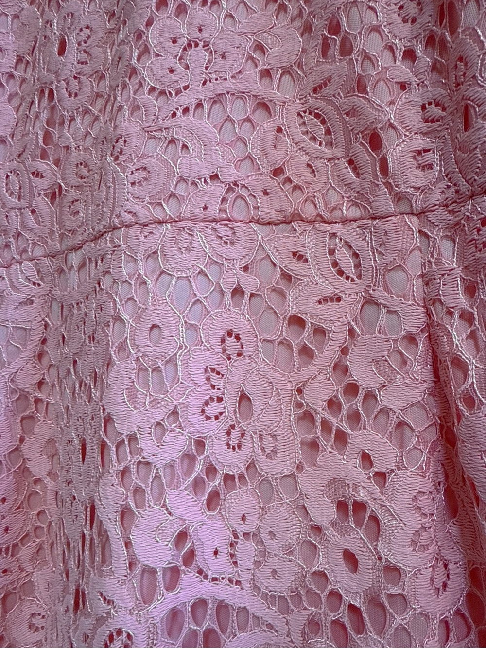 Curve Cap Sleeve Pink Lace Midi Dress - Picture 4 of 6